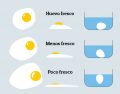 ¿Cómo reconocer huevos frescos?