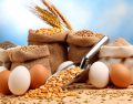El Huevo en la Dieta y la Salud