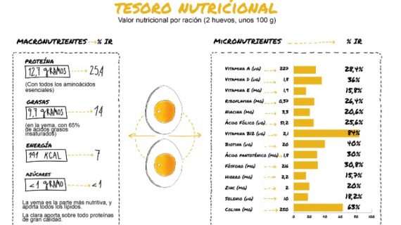 Composición Nutricional Del Huevo