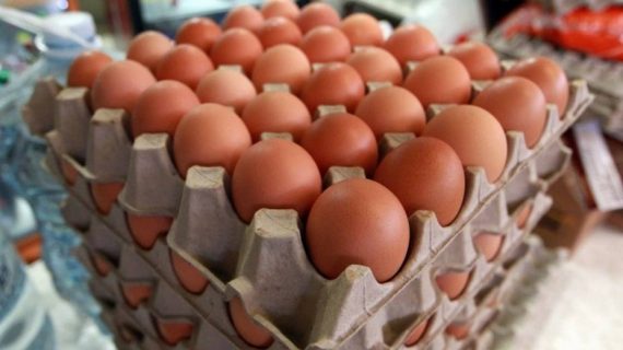 ¿Qué hace a nuestra línea ser la más conveniente para los productores de Huevo?
